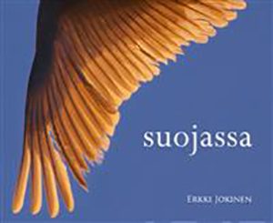 suojassa, erkki jokinen